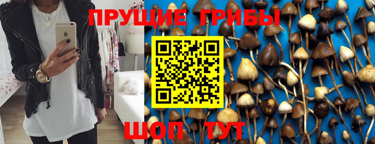 Псилоцибиновые грибы GOLDEN TEACHER Бугульма