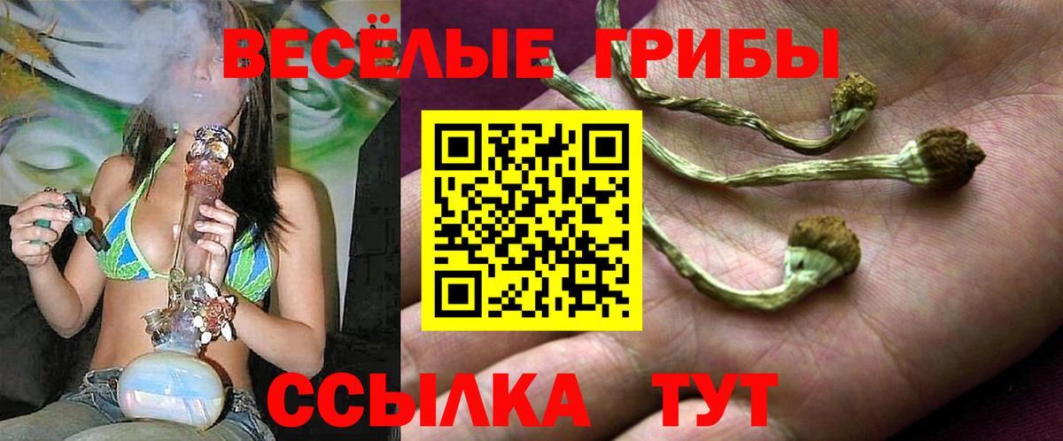 Галлюциногенные грибы GOLDEN TEACHER  Галлюциногенные грибы MAGIC MUSHROOMS  Бугульма  Вход с VPN 